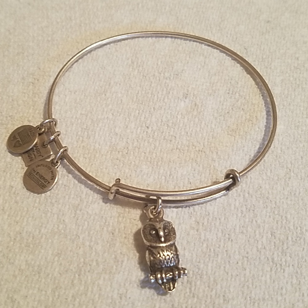 Alex and Ani Silver Owl Bracelet